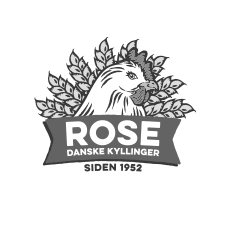 rose copy